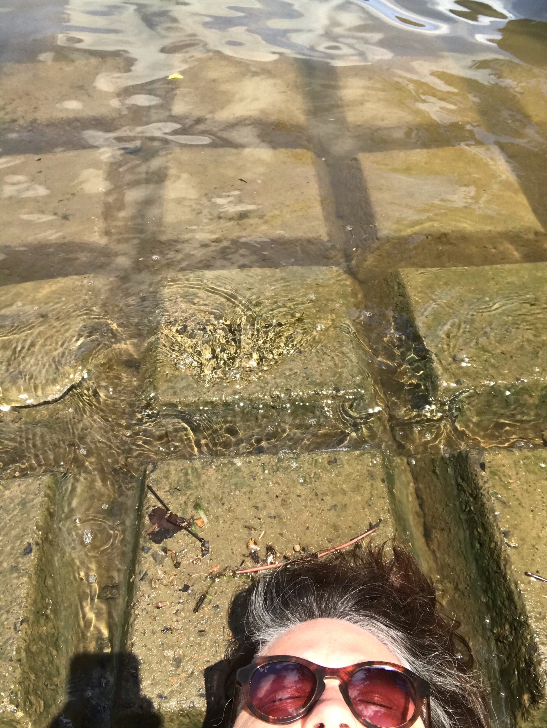 Quarantine Day 56: River Awakenings