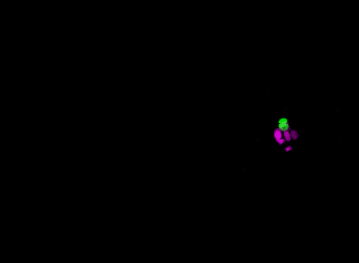 1CombinedBGedRGB_crop_gapped_8bitcolor.gif