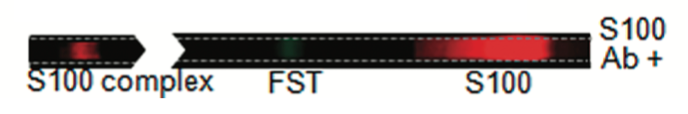 chenpub.png
