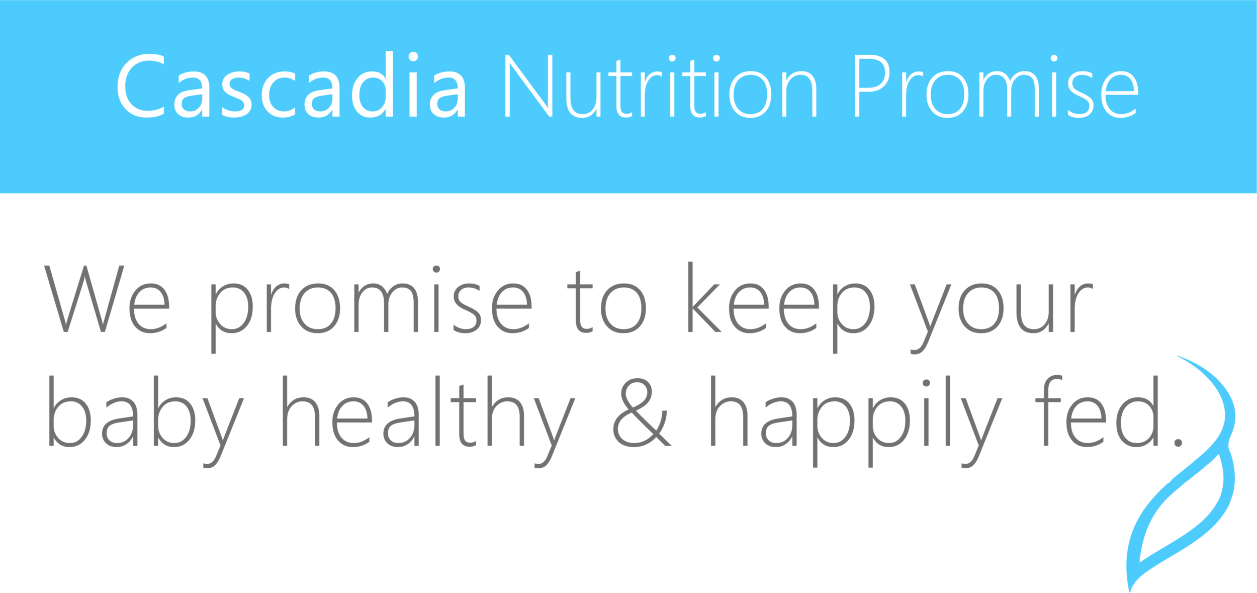 promise.png