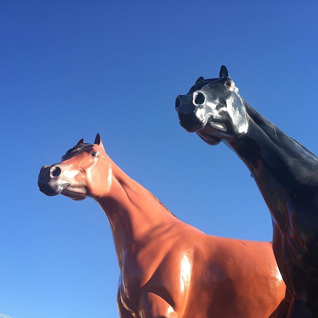 Still horsing around

#neighsayers #chompingorchampingatthebit
#nationalsiblingday