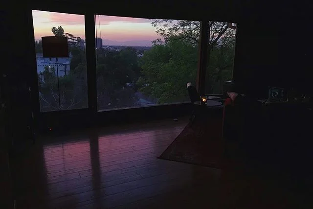 There are 5 animals in this shot.
