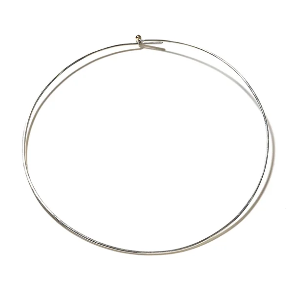 chase_collar_01.jpg