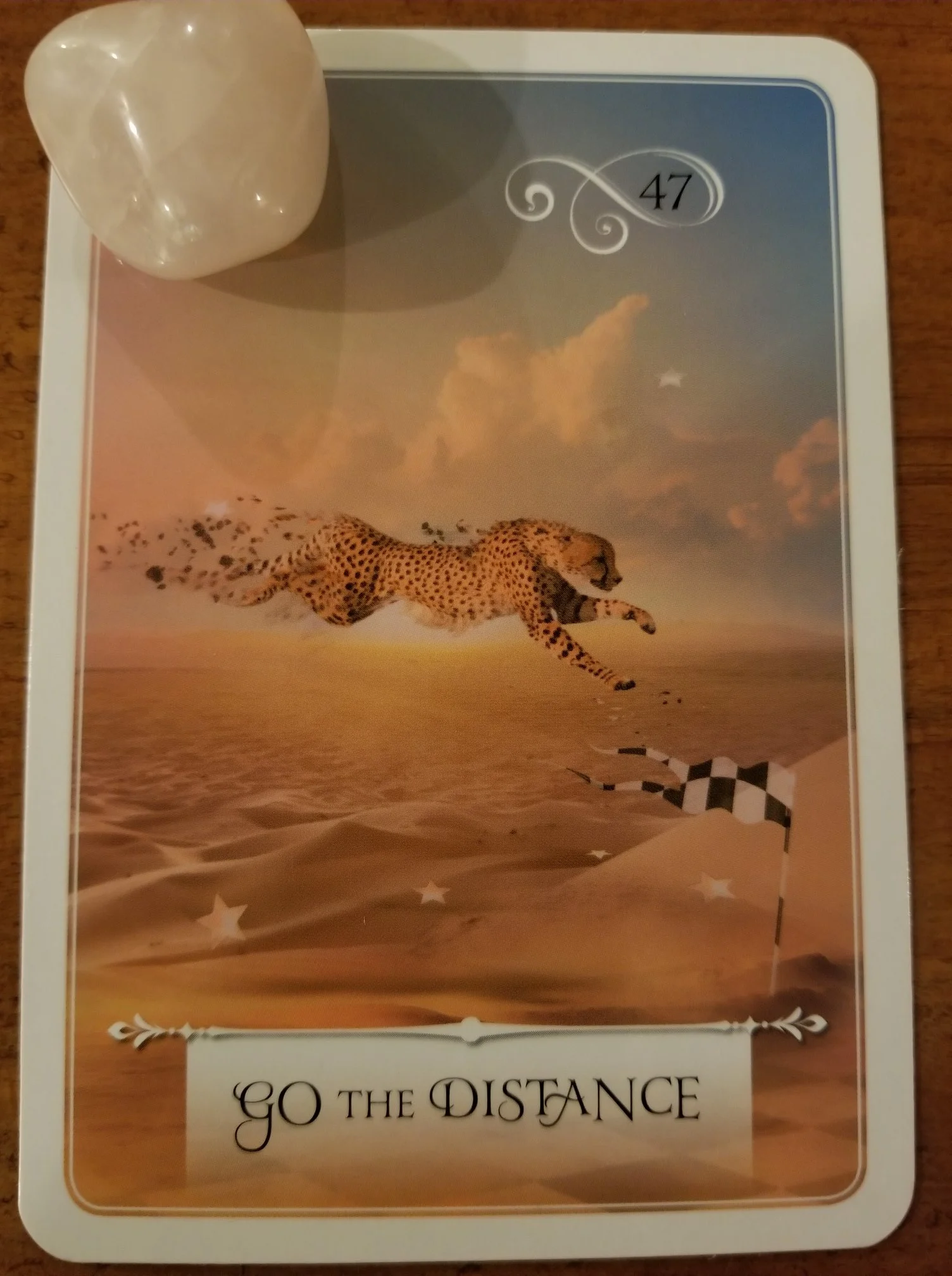 Go the Distance - Wisdom of the Oracle, Colette Baron-Reid