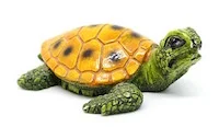 tortoise & the hare