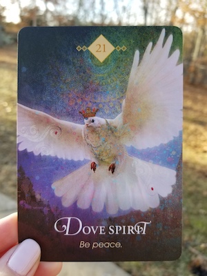 Daily Divination - Saturday, January 19, 2019 — Our Sight Your Light