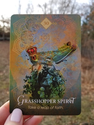 Daily Divination - Wednesday, January 23, 2019 — Our Sight Your Light