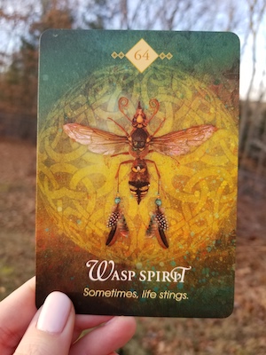 Daily Divination - Thursday, January 24, 2019 — Our Sight Your Light