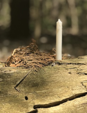 Smudge, palo santo, sage, mugwort, cedar