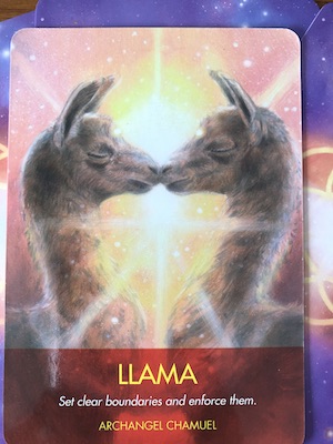Llama - Archangel Animal Oracle — Our Sight Your Light