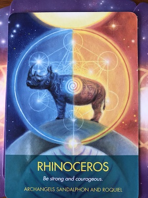 rhinoceros — Daily Divination — Our Sight Your Light
