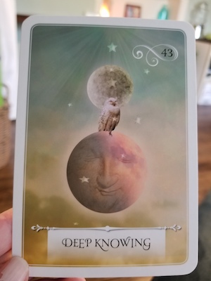 DEEP KNOWING - Wisdom of the Oracle by Colette Baron-Reid