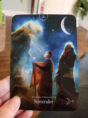 Queen of The Moon Oracle Tarot Cards Guidance Through Lunar and Seasonal Energies DOLS Tarot