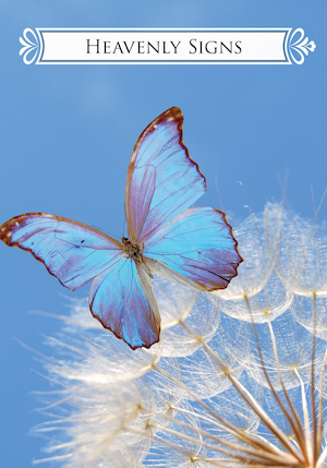 HEAVENLY SIGNS: Butterfly Oracle for Life Changes