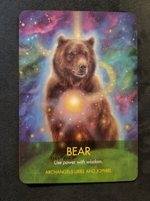 Bear - Archangel Animal Oracle — Our Sight Your Light