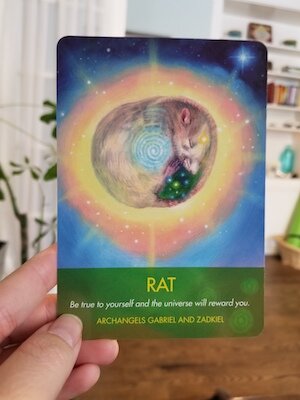 Rat - Archangel Animal Oracle — Our Sight Your Light