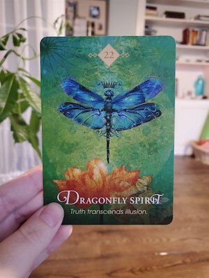 Dragonfly Spirit - Spirit Animal Oracle — Our Sight Your Light