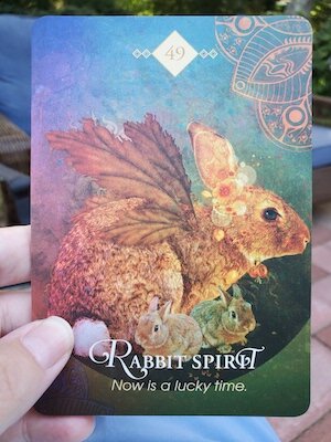 Rabbit Spirit - Spirit Animal Oracle — Our Sight Your Light