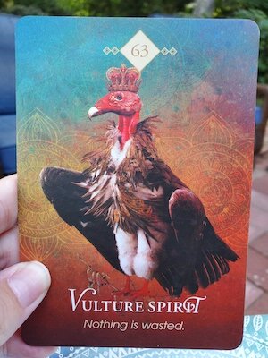 Vulture Spirit - Spirit Animal Oracle — Our Sight Your Light