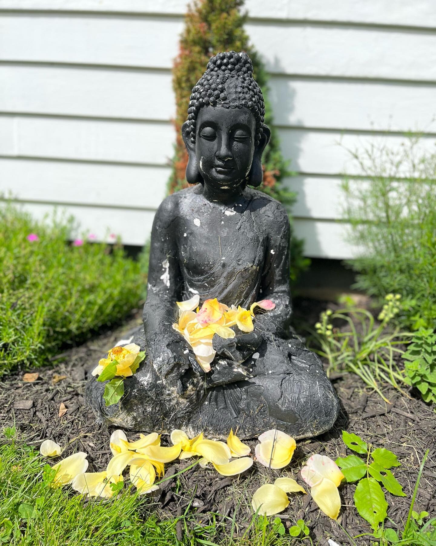 #Healing in #chaos
As I worked in my garden today, I looked at my aging #buddha statue and then at my fallen #rosepetals - 
As I picked up the petals and offered them to my tattered statue I realized that - even when things appear to be falling apart