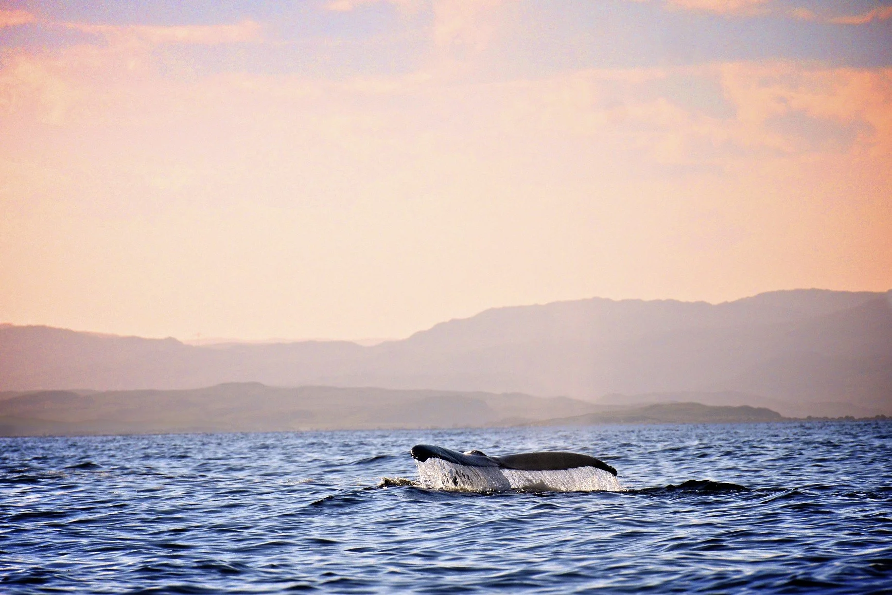 DSC_7697 - Version 2.jpg