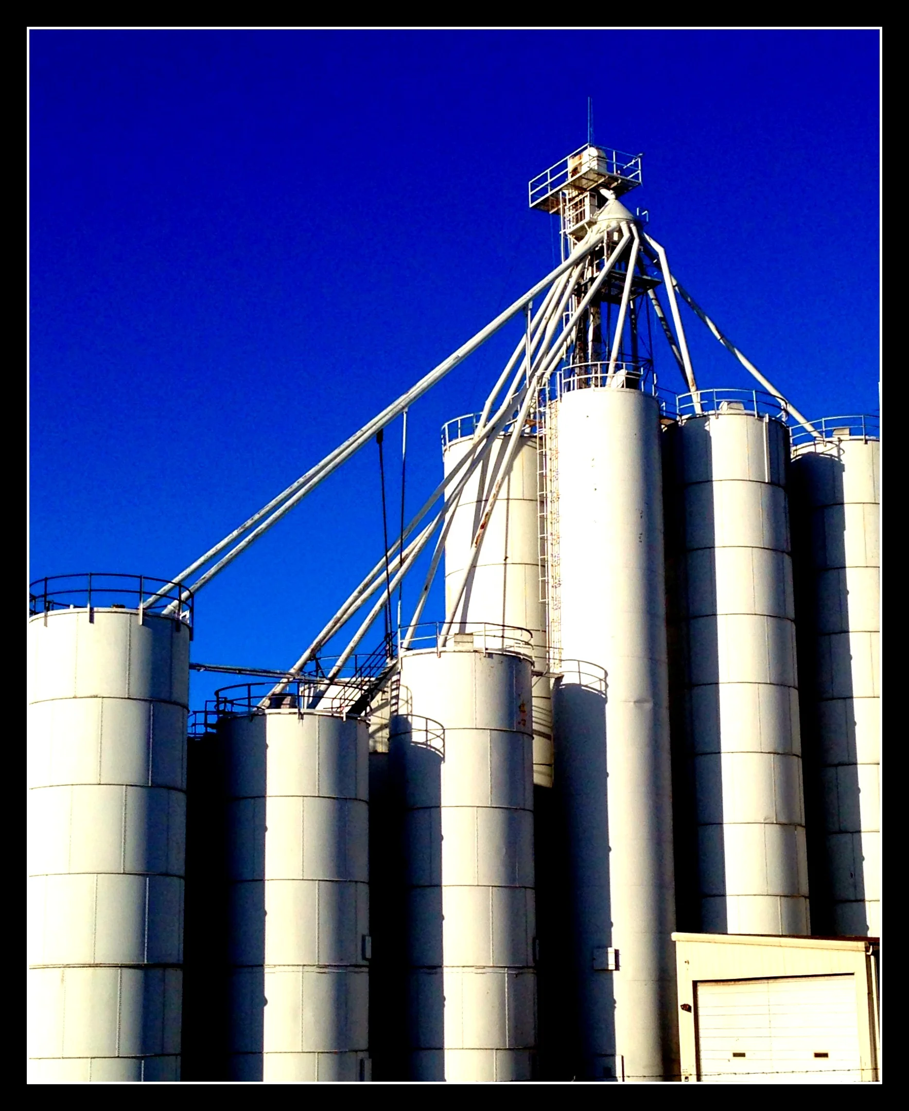 white seed tower 2.JPG