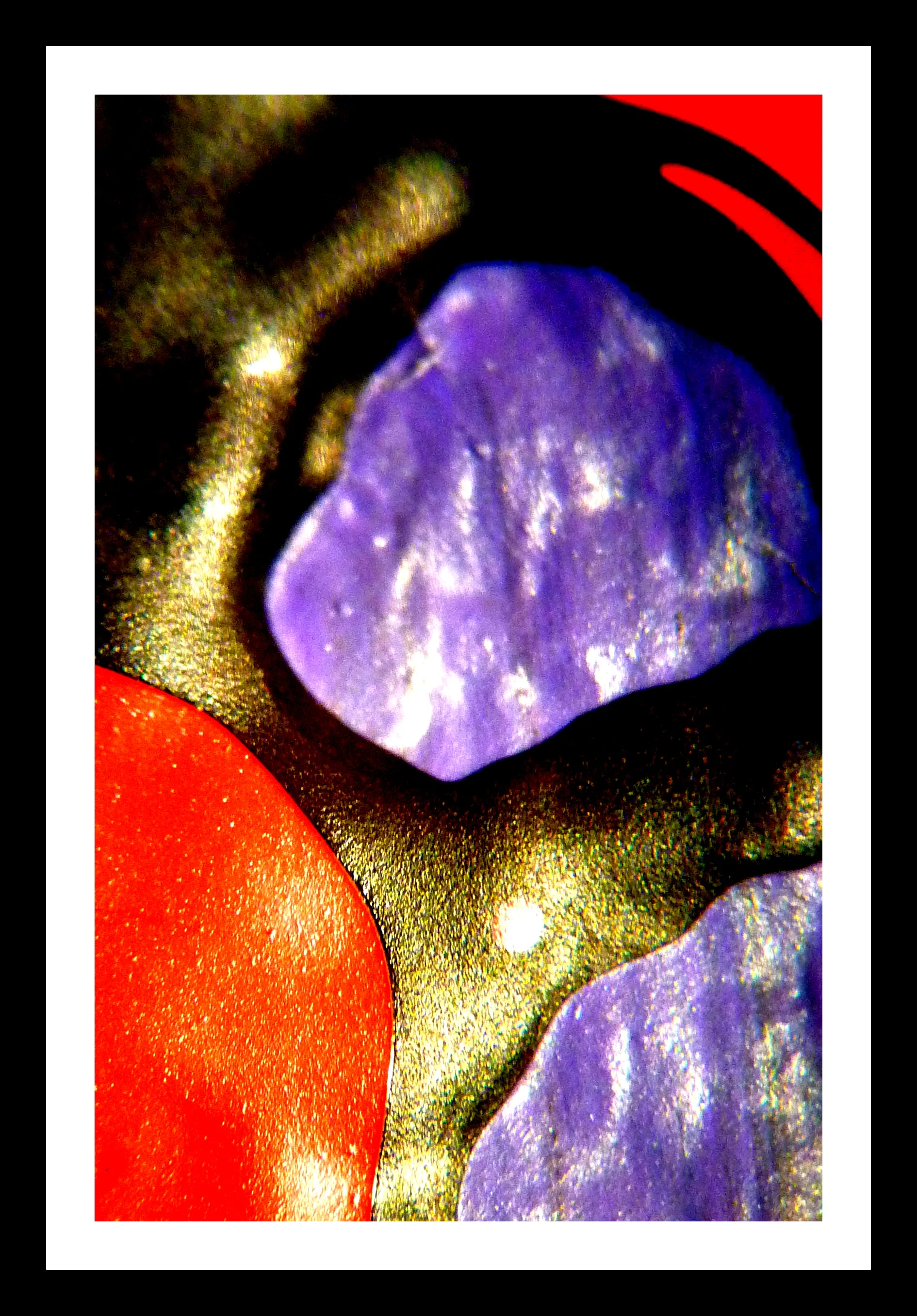 david microscope art.JPG