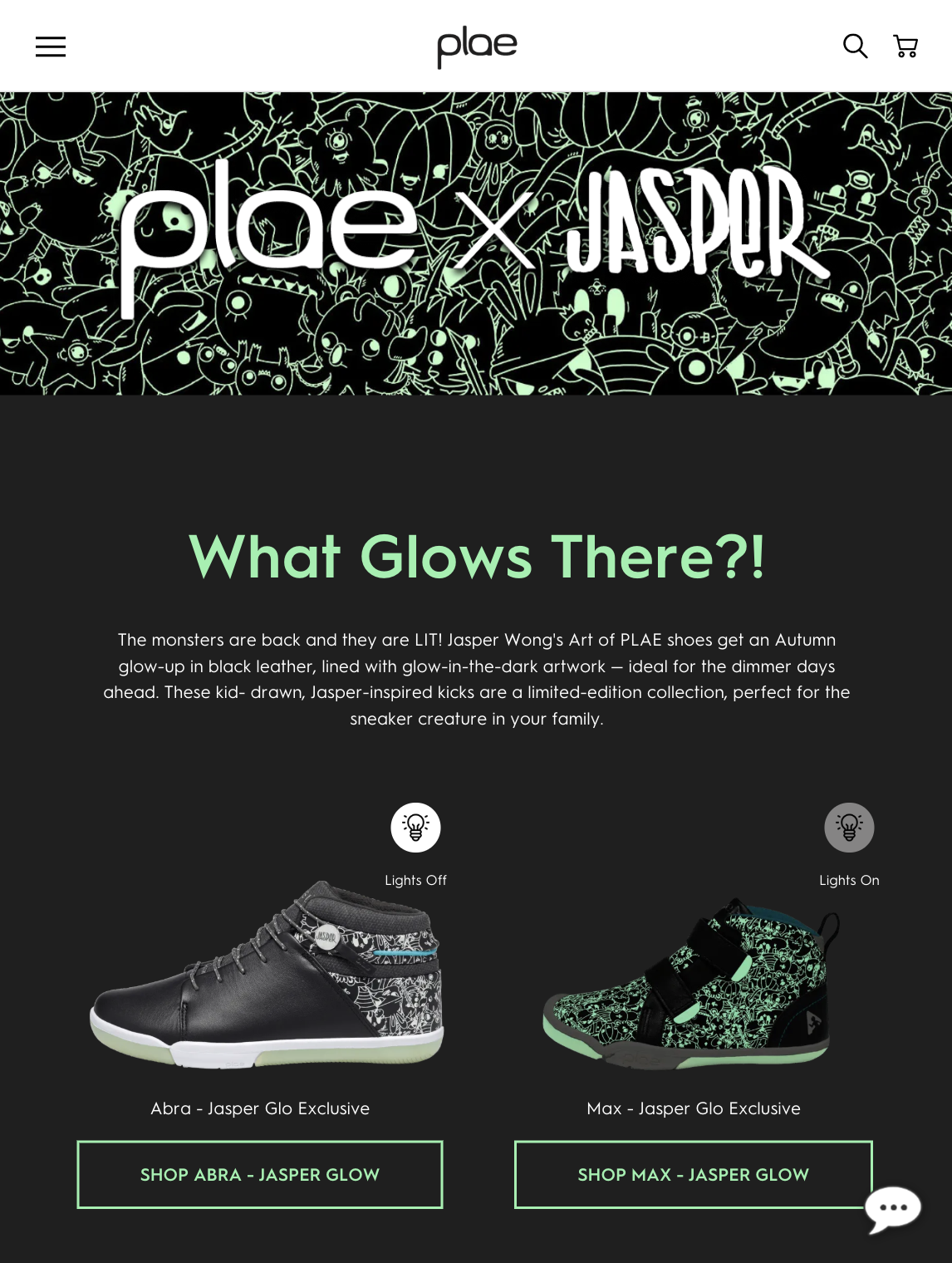 Art of PLAE 