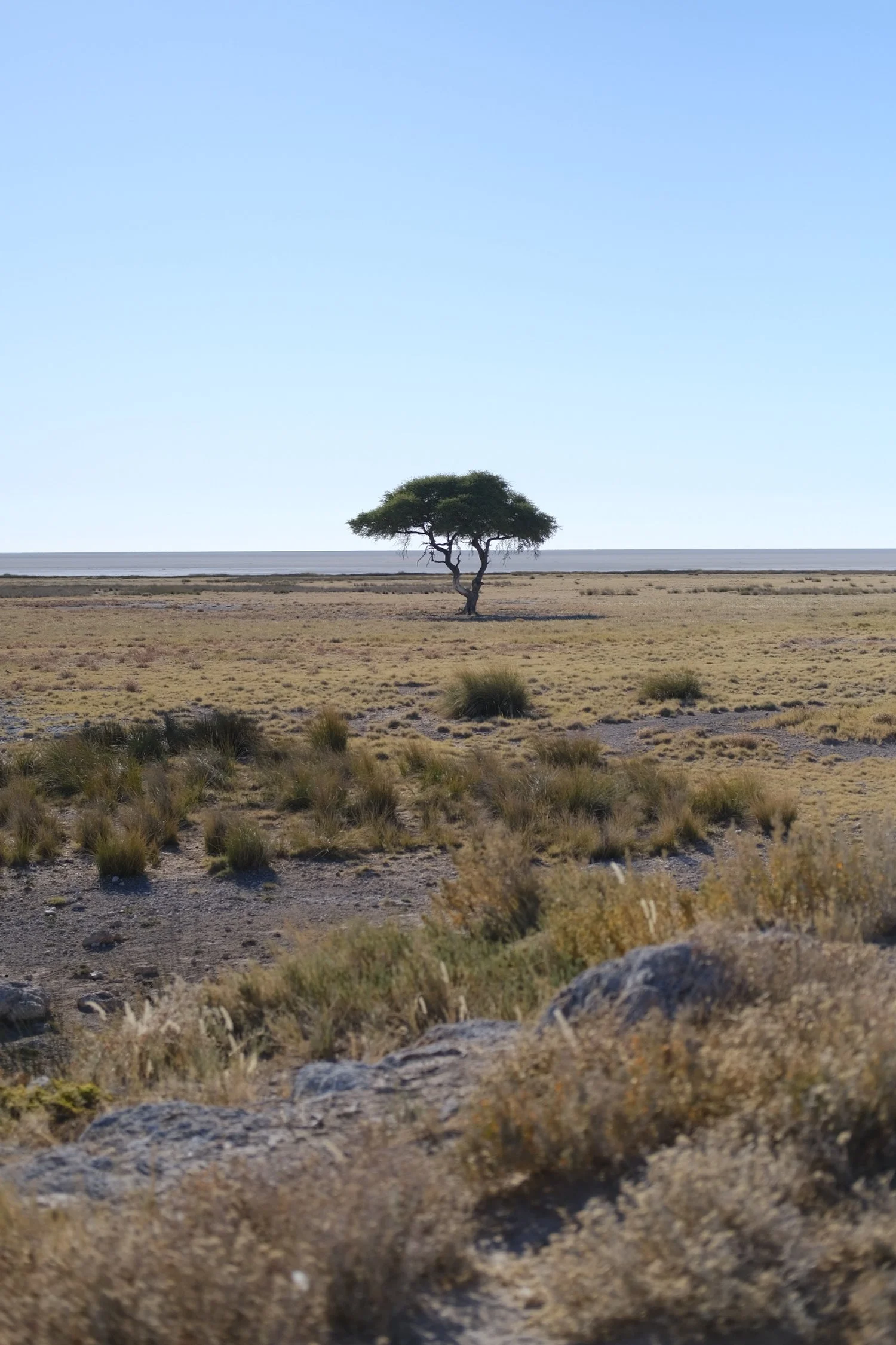 DSCF1489.JPG