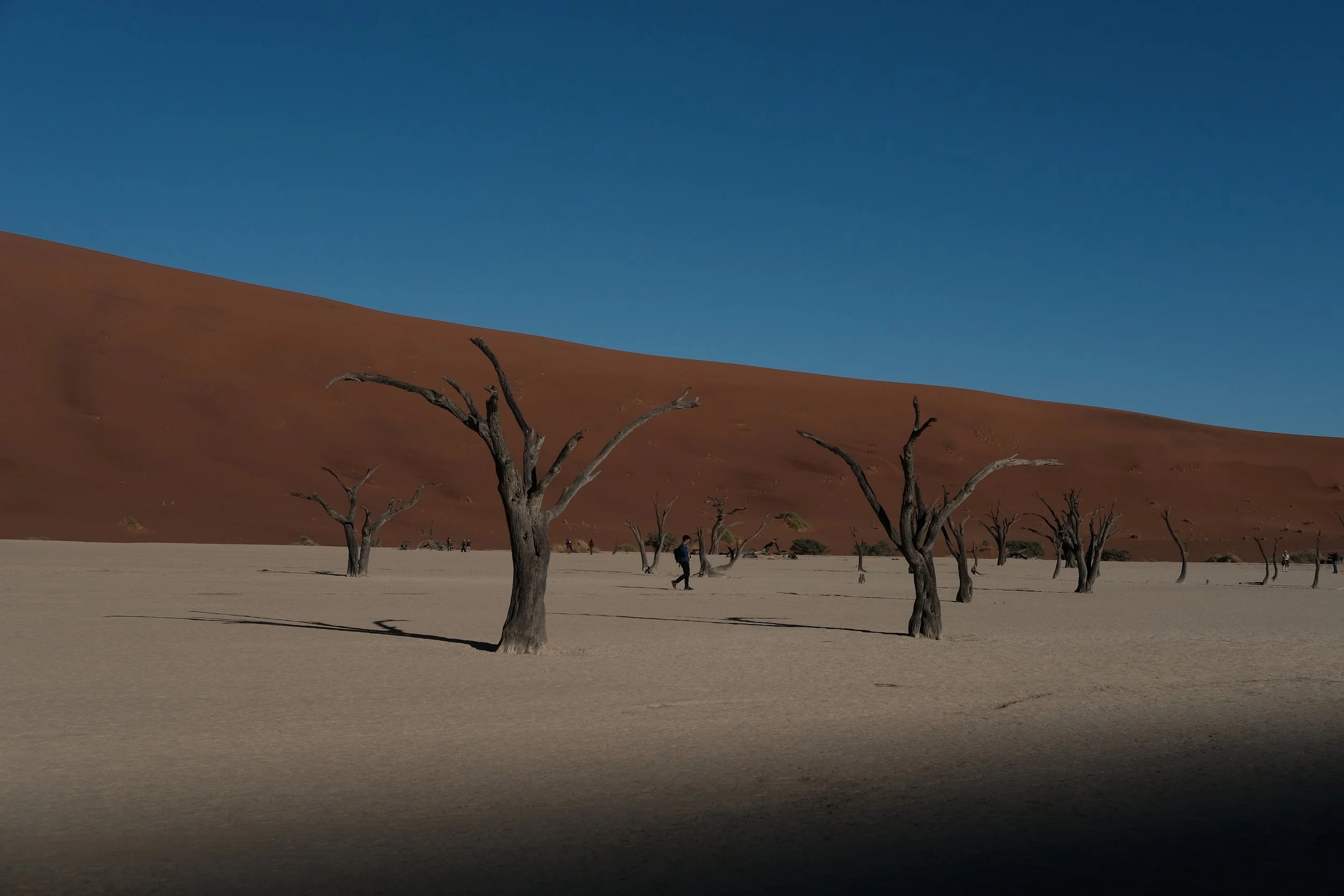 DSCF4532.JPG