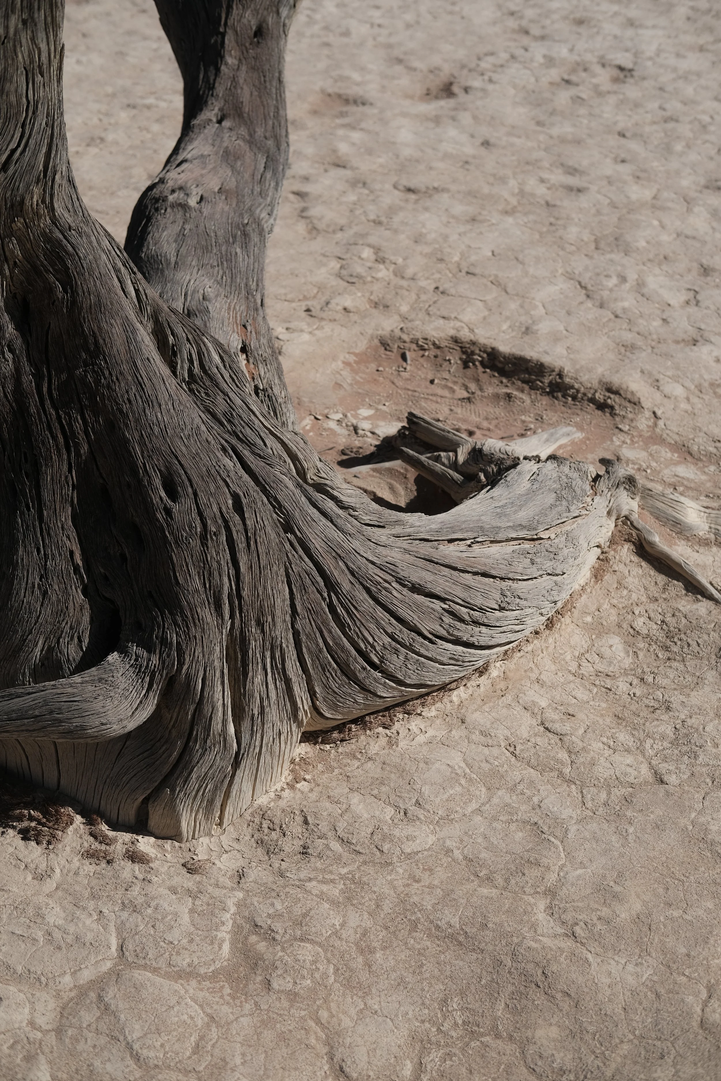 DSCF4858.JPG