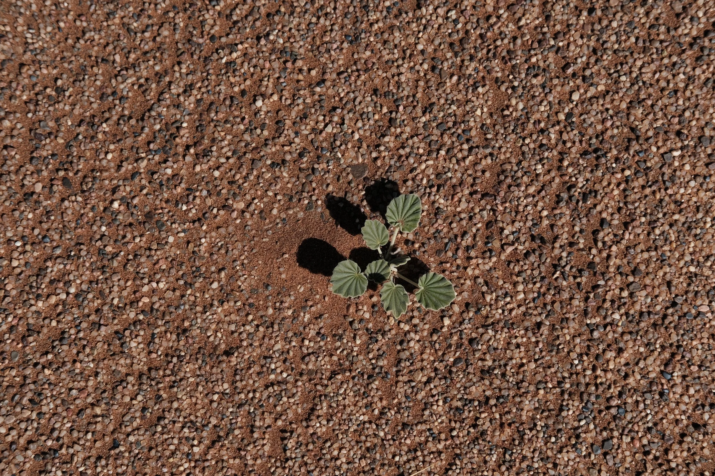 DSCF5054.JPG