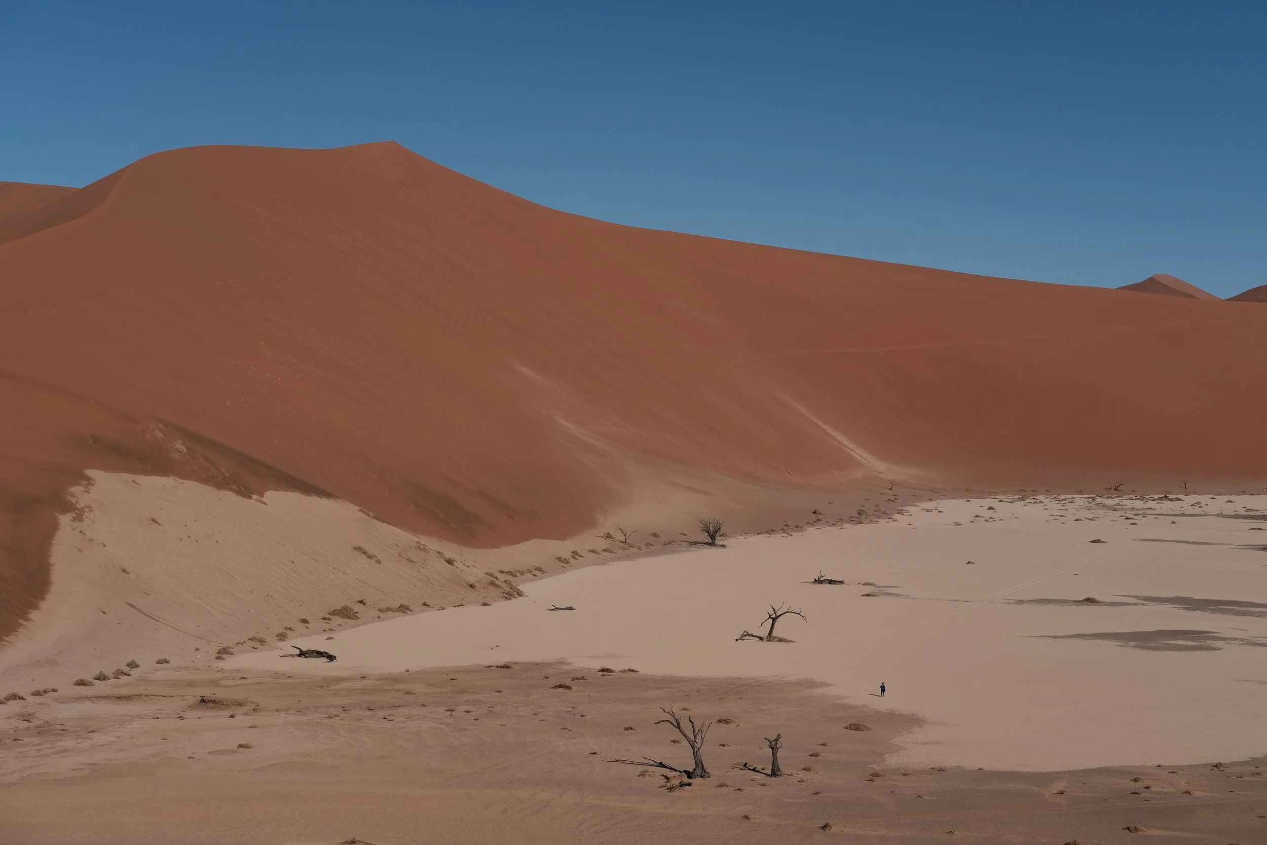 DSCF5086.JPG
