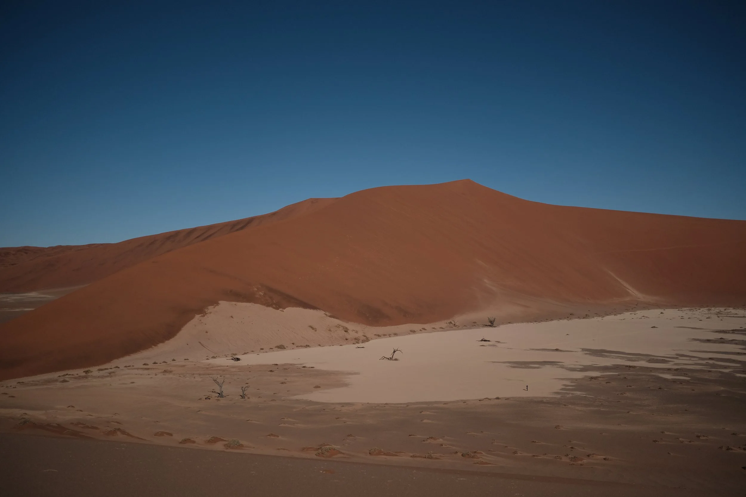 DSCF5113.JPG