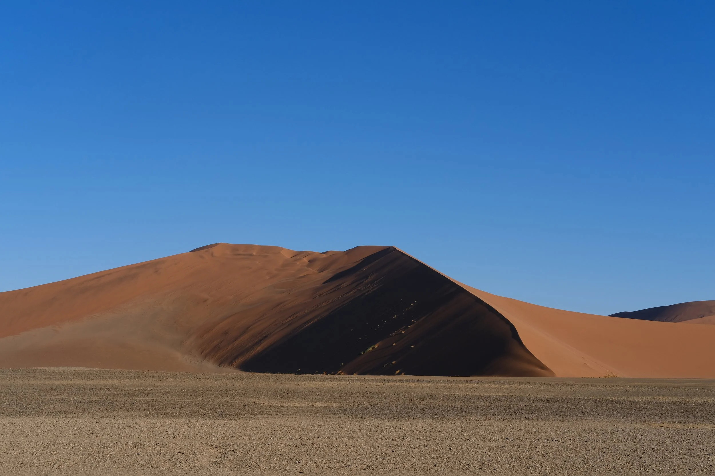 DSCF5216.JPG