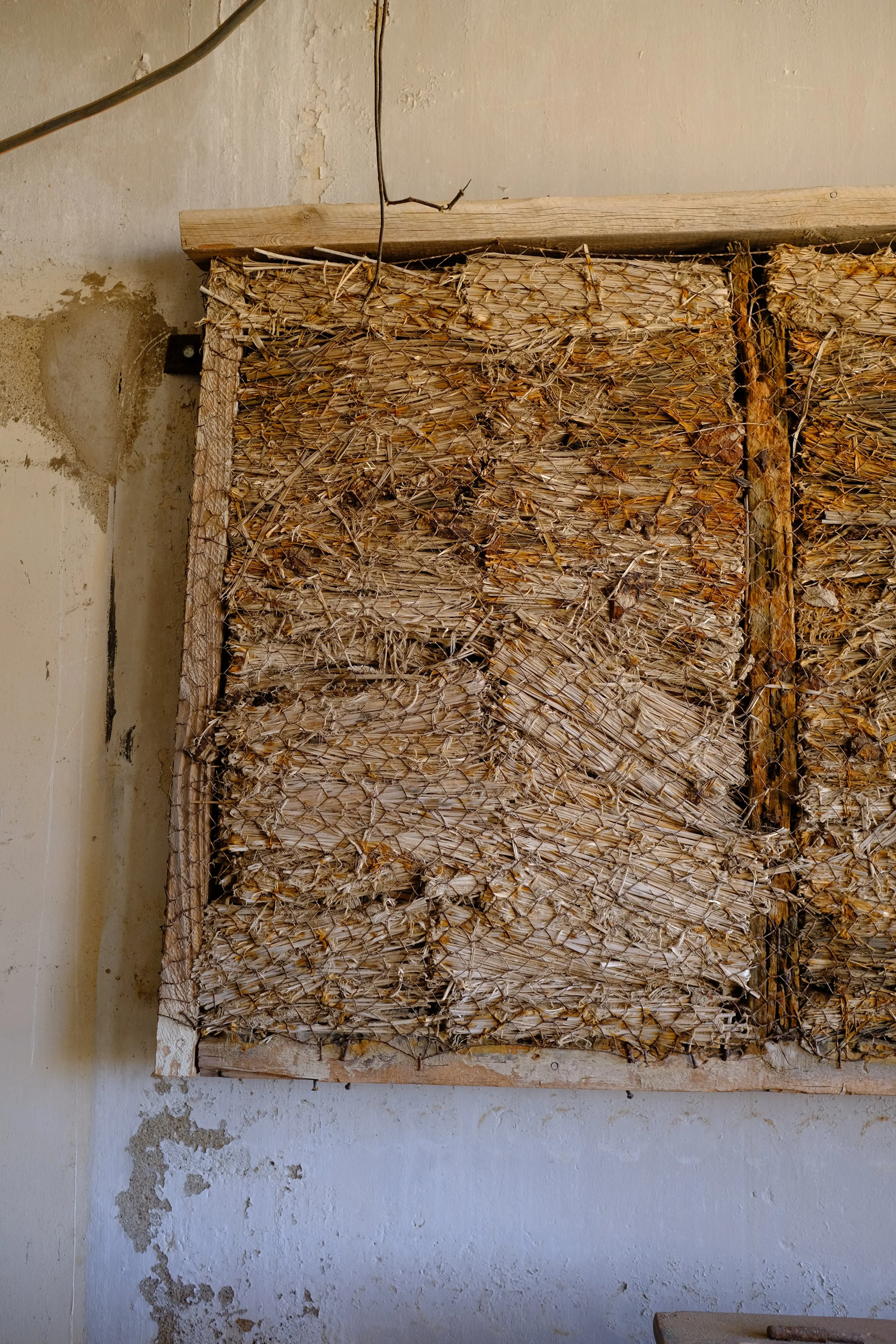 DSCF6839.JPG
