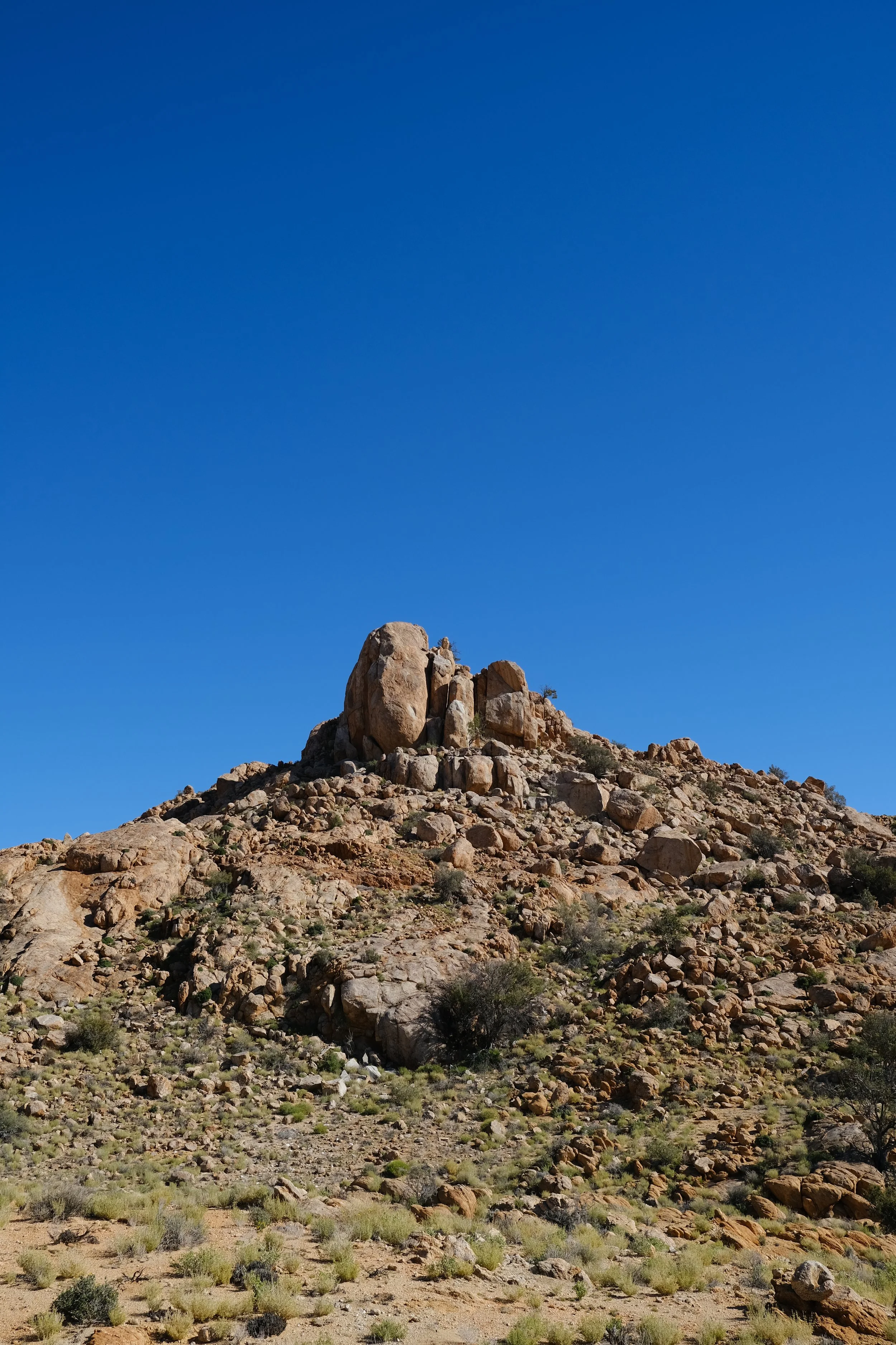 DSCF5872.JPG