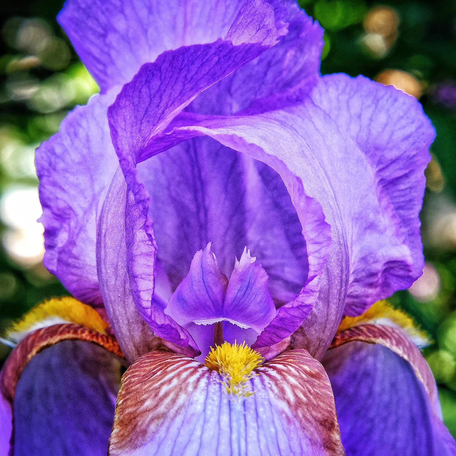 DBS_BeautyWithin01.jpg