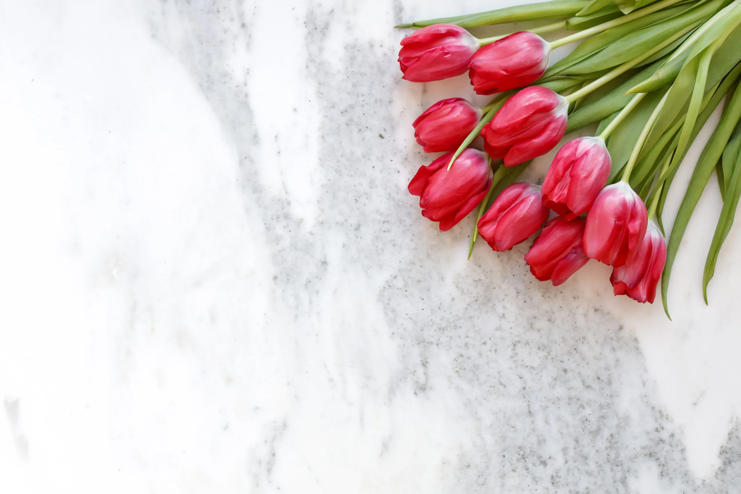 Free Styled Stock Images_SC Stockshop_15.JPG