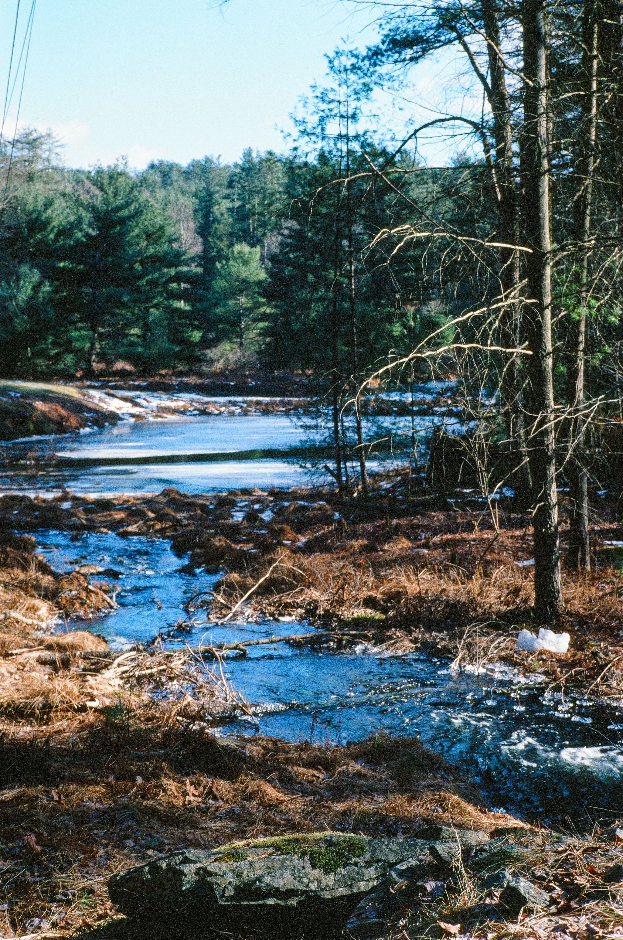 beaverbrook-ektachrome.jpg
