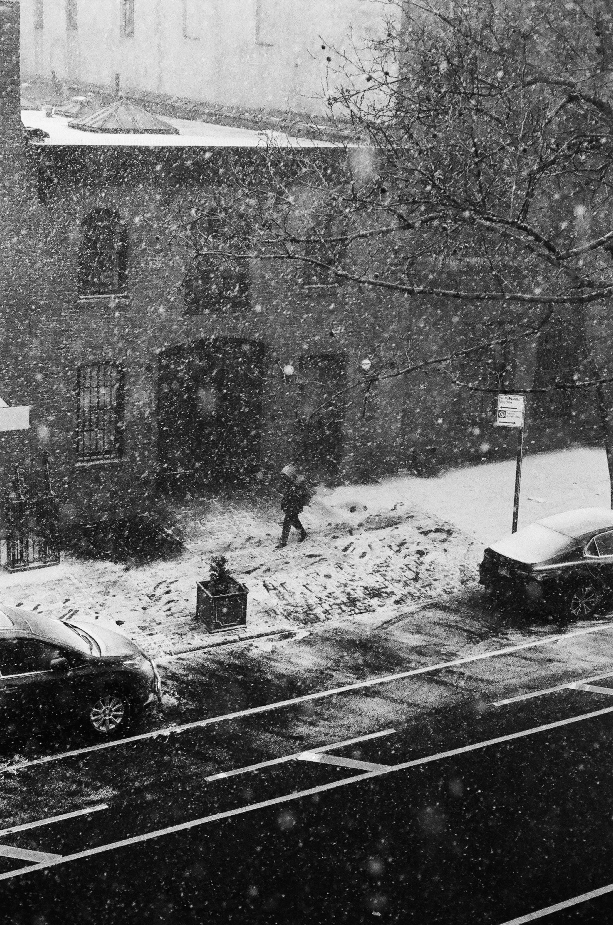 snowing.jpg