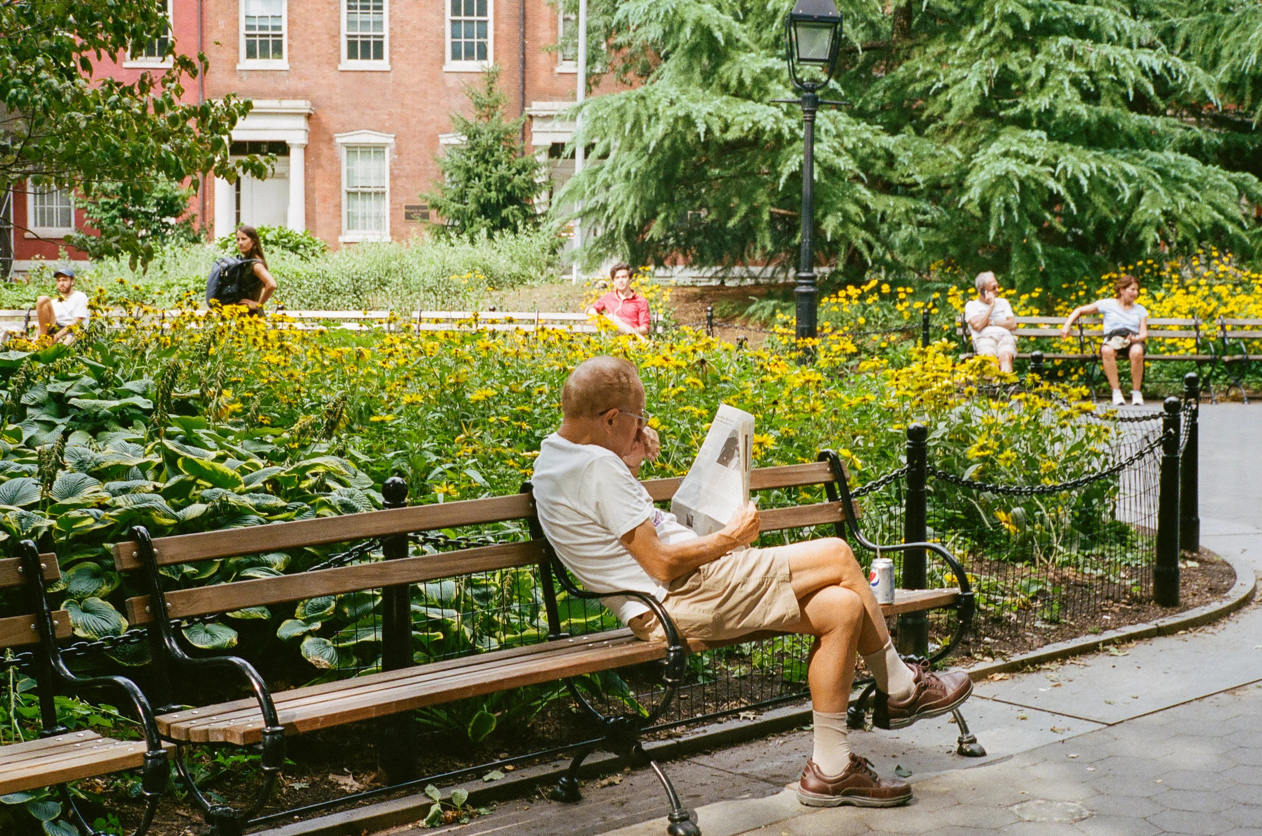 nyc-reader.jpg