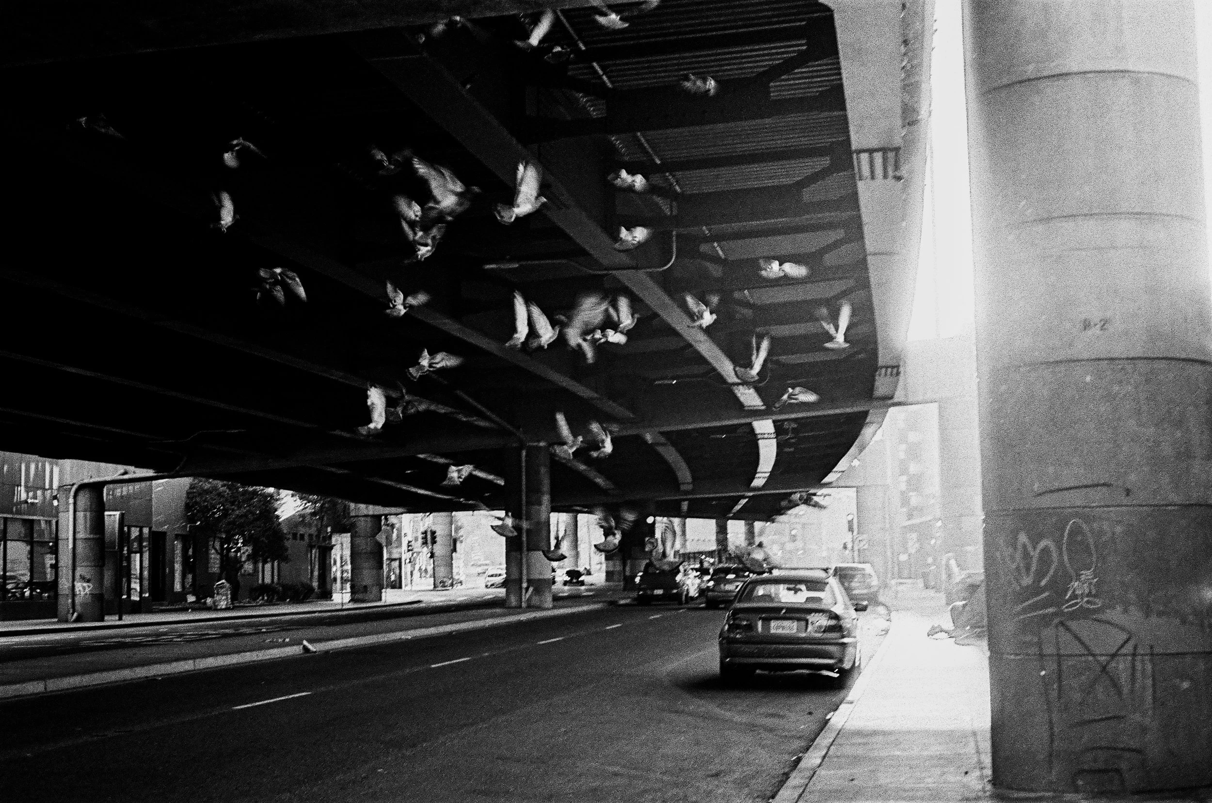 sf-pigeontunnel-5.jpg