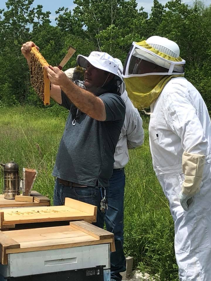 BeeSchool2.jpg
