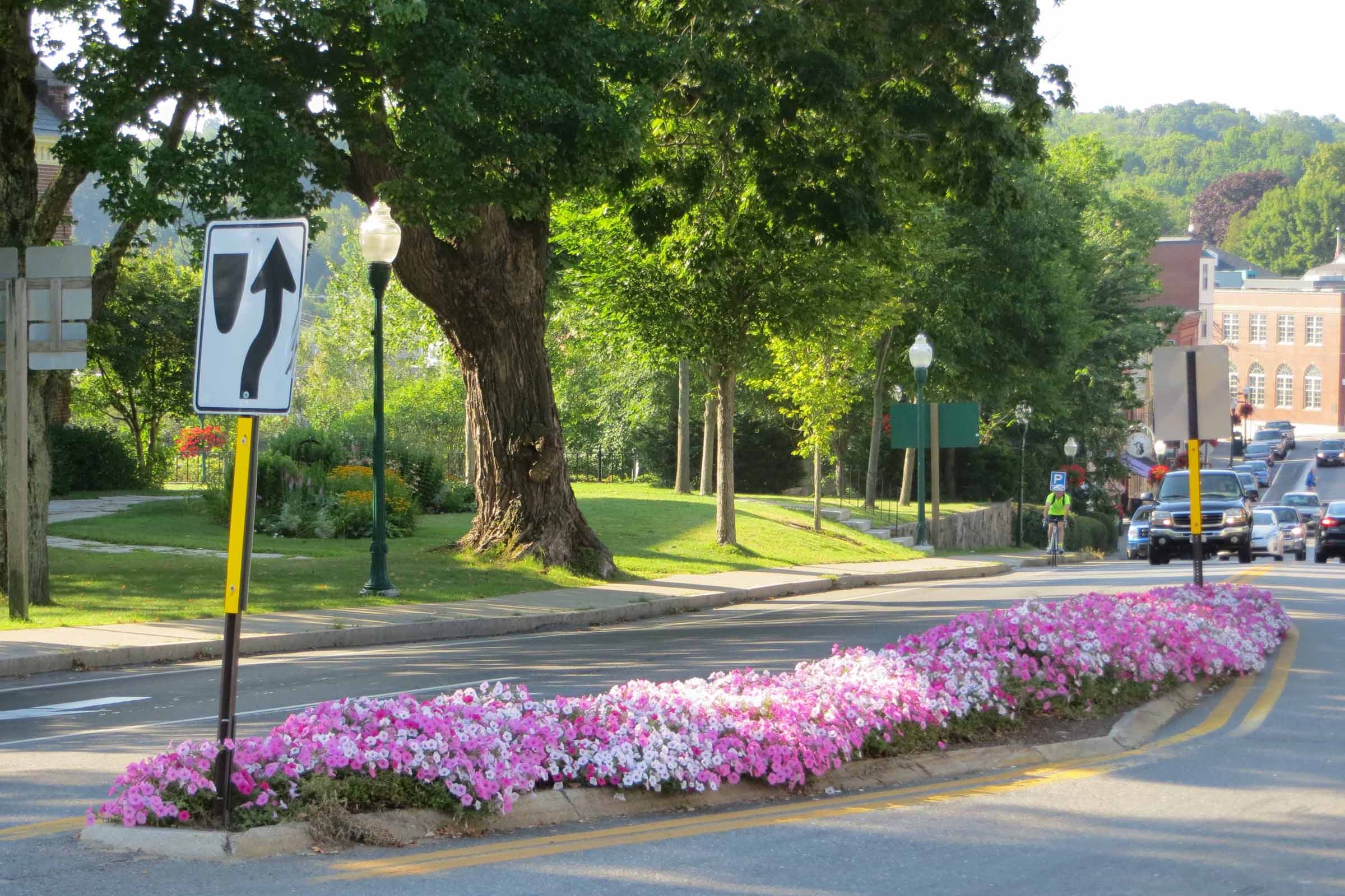 Traffic Island (Copy) (Copy)