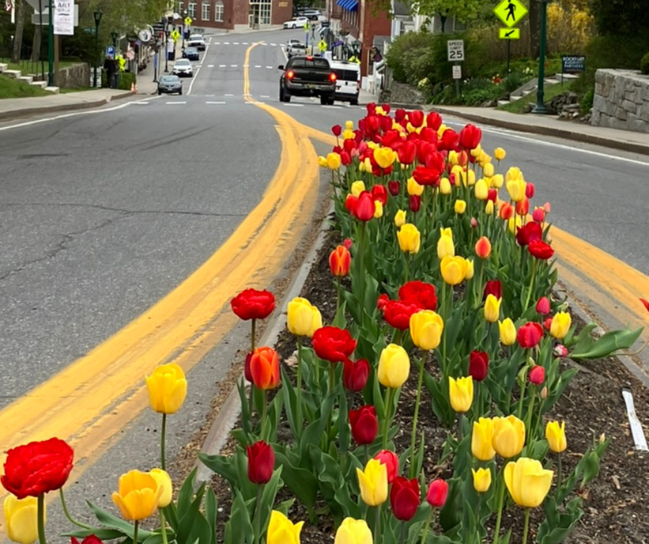 Planting the Traffic Islands: Volunteers Needed