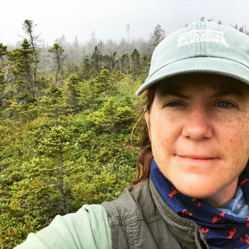 Embracing the Organic Process of Design 