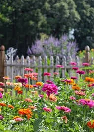 77th Annual Garden Tour