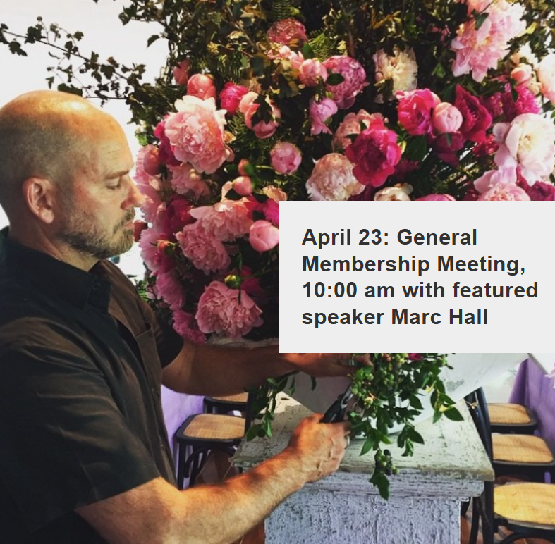 April General Meeting with presentation: Flower Arranging through the Eyes of an Artist