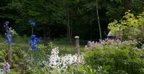  Fernwood Shade Nursery Tour